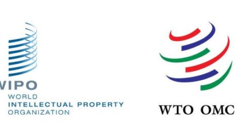 WIPO-WTO Colloquiums for Intellectual Property Teachers 2020