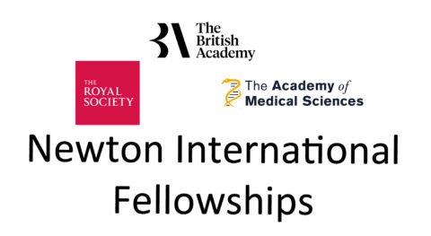 Royal Society Newton International Fellowships 2020 (Funded to the UK)