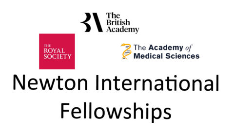 Royal Society Newton International Fellowships 2020 (Funded to the UK)