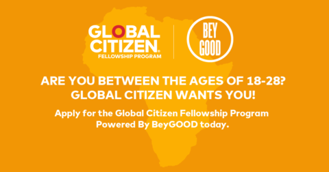 Global Citizen Fellowship Program