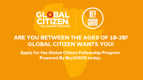 Global Citizen Fellowship Program