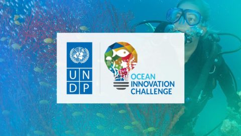 UNDP Ocean Innovation Challenge 2020 (250,000 USD)