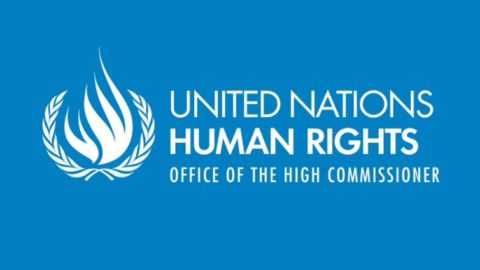 UN Human Rights Fellowship Program for Africans 2020