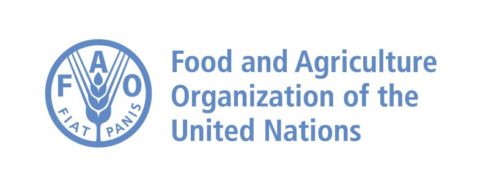 Food and Agriculture Organization of the UN Sub-Regional Fellowship 2020