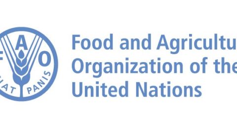 Food and Agriculture Organization of the UN Sub-Regional Fellowship 2020