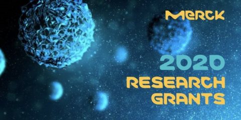 Merck Research Grants for Scientists 2020 (500,000 EUR)