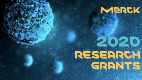 Merck Research Grants for Scientists 2020 (500,000 EUR)
