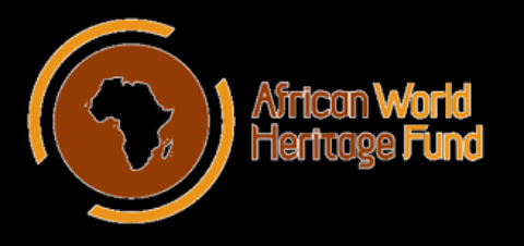 AWHF Moses Mapesa Research Grants for Students 2020 ($5000)