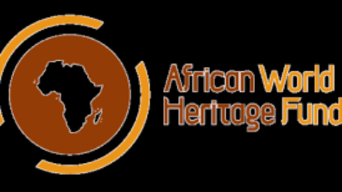 AWHF Moses Mapesa Research Grants for Students 2020 ($5000)