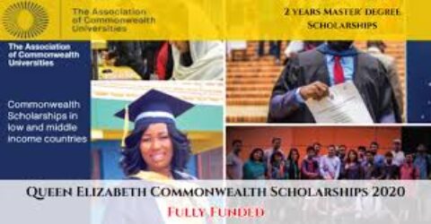 Queen Elizabeth Distance Learning Scholarship Awards 2020