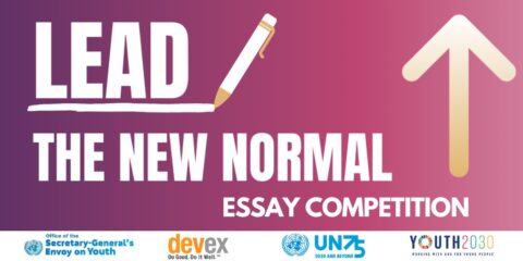 The Future We Want, The UN We Need- Essay Competition