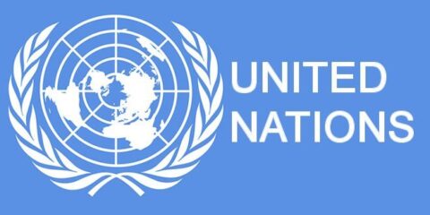 UNFPA/UN Volunteer Population Data Fellowships 2020