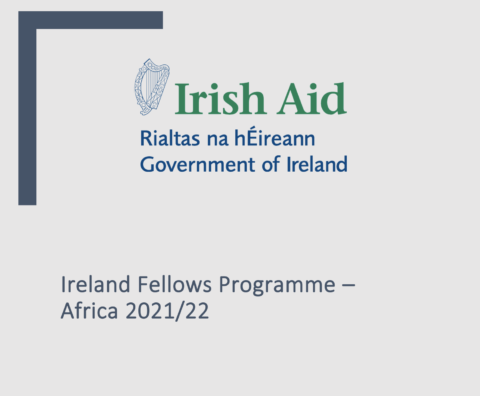 Ireland Fellows Programme – Africa
