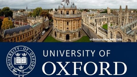 Mica & Ahmet Ertegun International Scholarship at Oxford University UK 2021