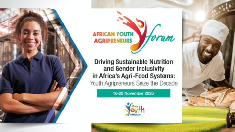 The African Development Bank’s AgriPitch Competition 2020 (US$120,000)