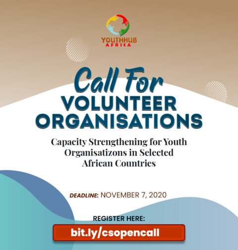 Call For Volunteer Organisations: Capacity Strengthening for African Youth Organisations.