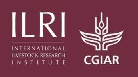 International Livestock Research Institute (ILRI) Training Fellowship 2021(Fully Funded to Nairobi)