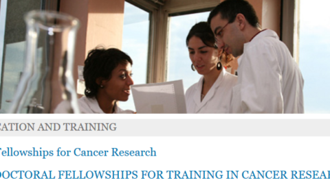 WHO International Agency for Research on Cancer Fellowships 2021