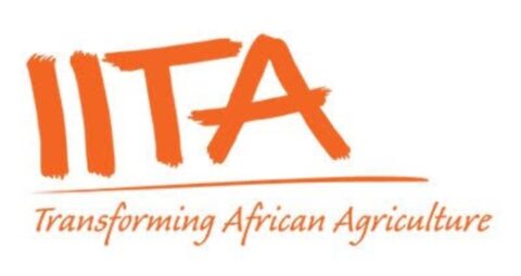 Young Africa Works-IITA project Agricultural Training for Young Nigerians 2020