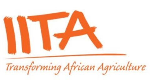 Young Africa Works-IITA project Agricultural Training for Young Nigerians 2020