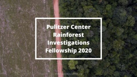 Pulitzer Center Rainforest Investigations Fellowship for Journalists 2020