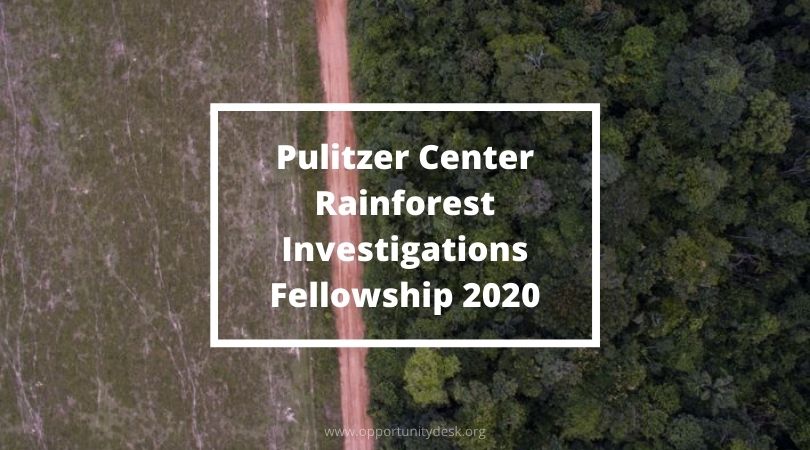 2020 Fellowships