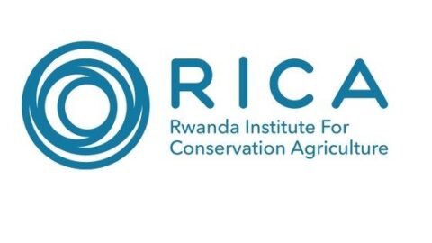 RICA Undergraduate Scholarships for Young Rwandans 2021.