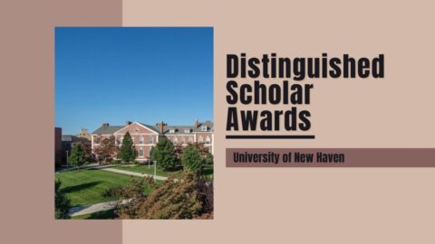 University of New Haven 2021 Distinguished Scholar Awards in USA