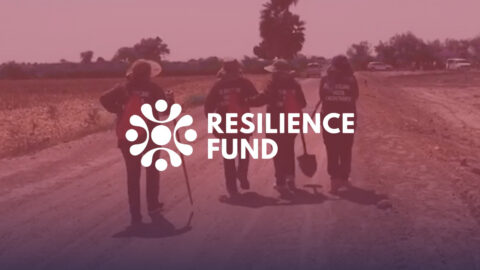 GI-TOC Resilience Fellowship 2021 ($15,000)