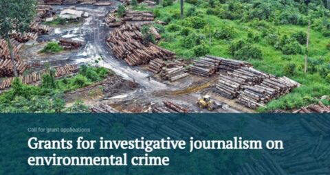 GRID-Arendal Grants for Investigative Journalism  2021 (€2,300)