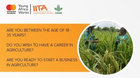 IITA/Mastercard Foundation Young Africa Project 2020 [Nigerians only]