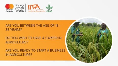 IITA/Mastercard Foundation Young Africa Project 2020 [Nigerians only]