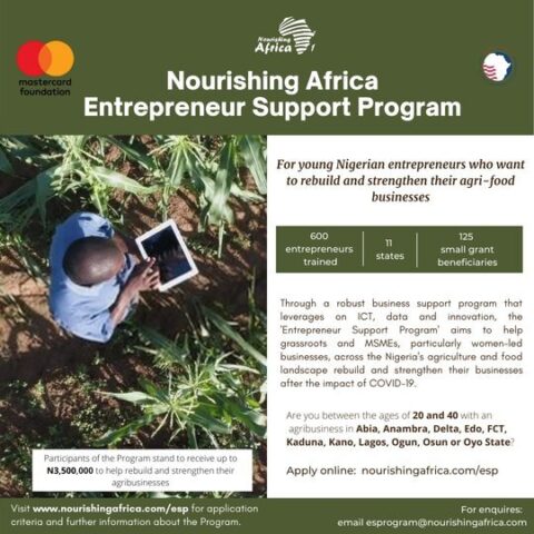 The Nourishing Africa Entrepreneur Support Program for Nigerians 2021