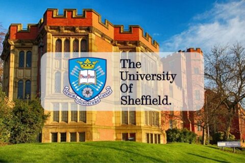 International Scholarship at University of Sheffield in UK 2021