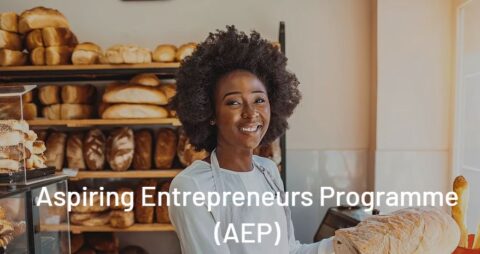 Pan African Women Entrepreneurs Program (2021)