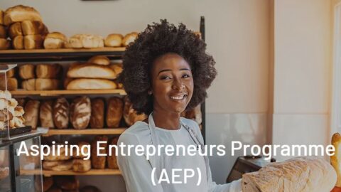 Pan African Women Entrepreneurs Program (2021)