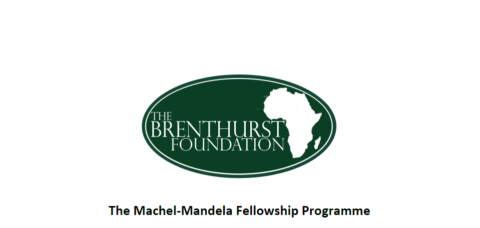 The Machel-Mandela Fellowship Programme