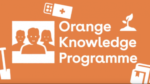 Orange Knowledge Scholarship Programme in The Netherlands