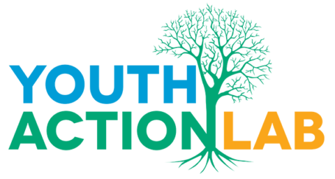 CIVICUS Youth Action Lab 2021 ($5,000 Award)