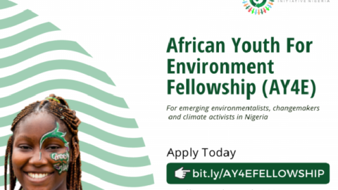 African Youth for Environment Fellowship (AY4E) 2021