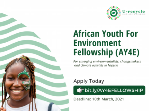 African Youth for Environment Fellowship (AY4E) 2021