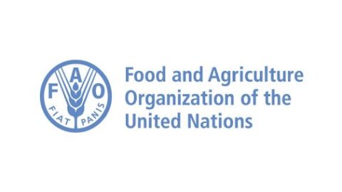 Food and Agriculture Organisation Fellowship Programme 2021