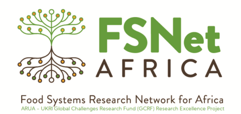 FSNet-Africa Fellowship for Researchers 2021 (£20,000)