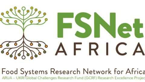 FSNet-Africa Fellowship for Researchers 2021 (£20,000)
