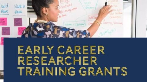 MECAM Fellowship for Early-career Researchers 2021 (Funded)
