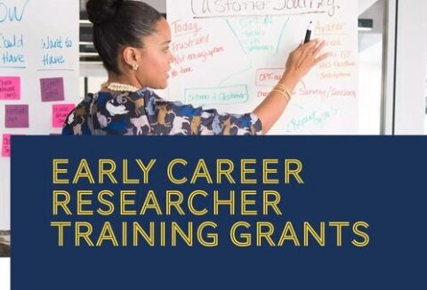 MECAM Fellowship for Early-career Researchers 2021 (Funded)