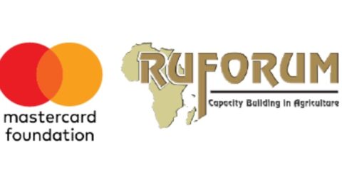 RUFORUM MasterCard Foundation Scholarships
