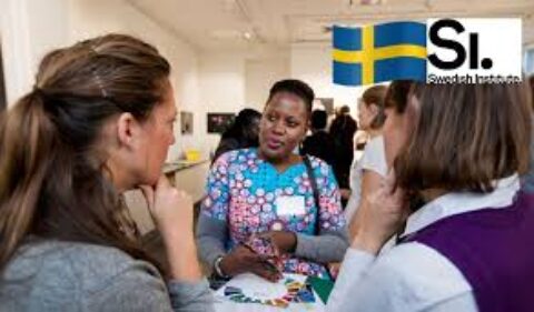 Swedish Institute Management Programme for Africans 2021