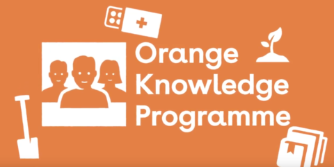 Nuffic Orange Knowledge Scholarship Programme.