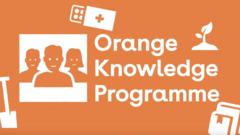 Nuffic Orange Knowledge Scholarship Programme.